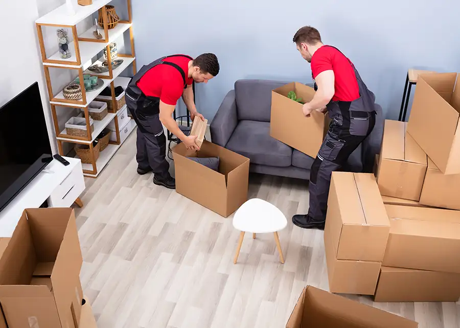 Two Moscardelli Moving & Storage crew members packing and organizing cardboard boxes throughout a living room